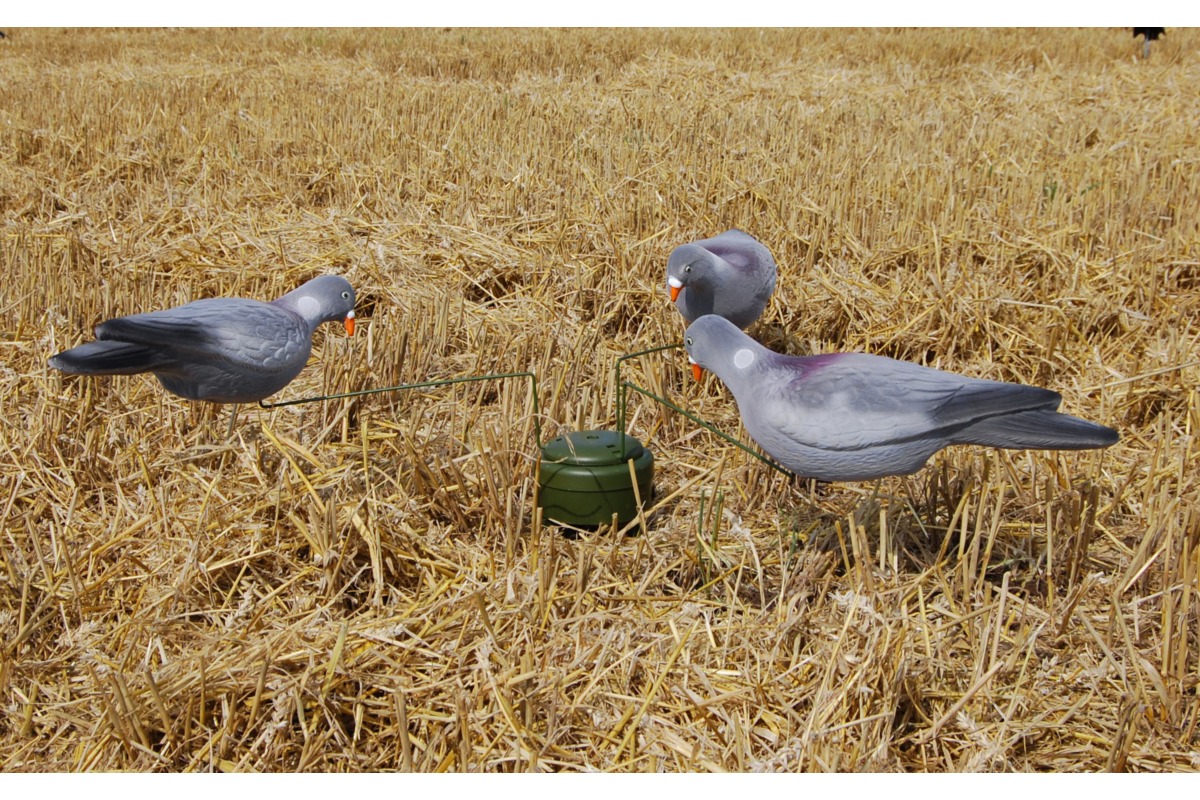 Taubenmagnet Lucky Duck mit 3 beflockten Locktauben